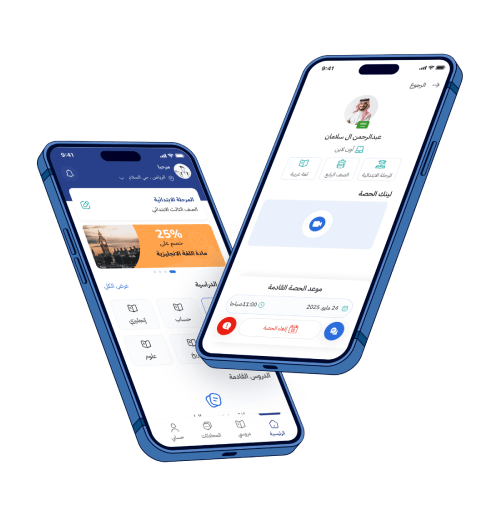 شركات برمجة في مصر