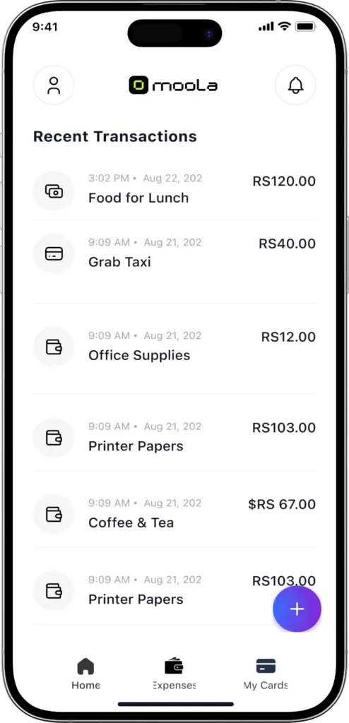 Project Image: Moola Pay App