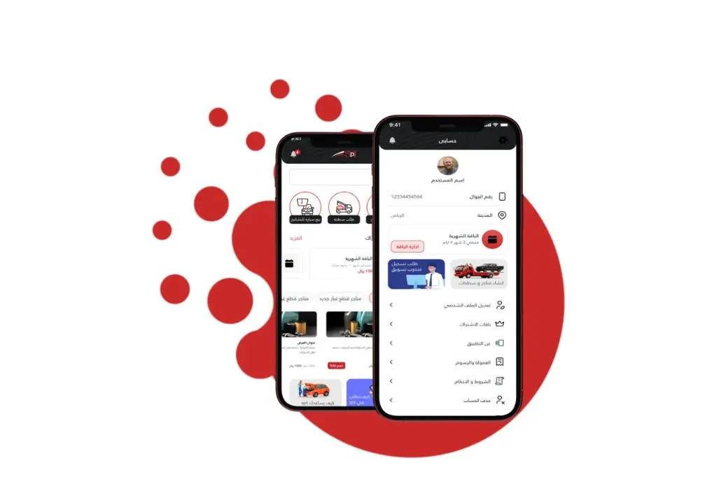 Image number 6 from the project's image gallery