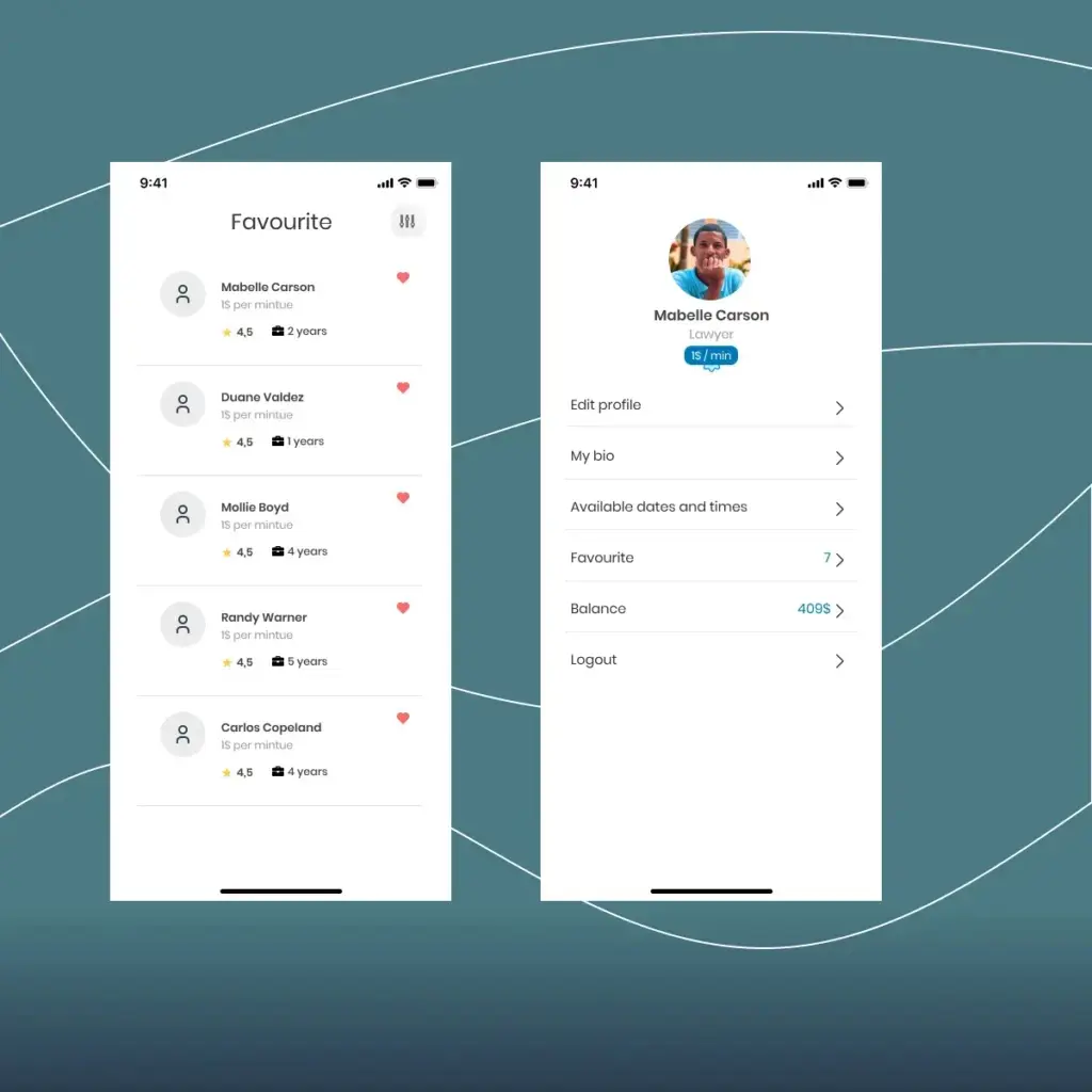 Image number 2 from the project's image gallery