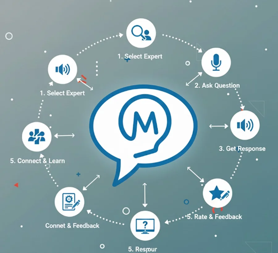 Image of how the project works