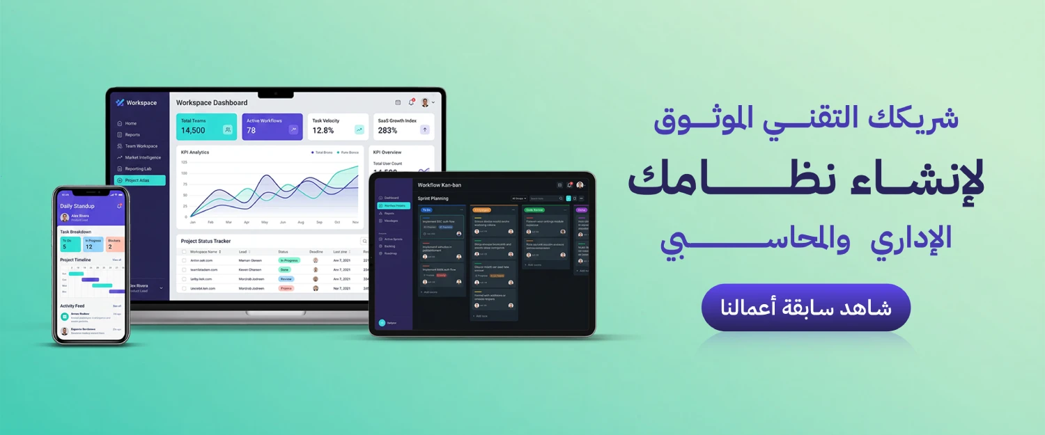 شركة برمجيات في مصر